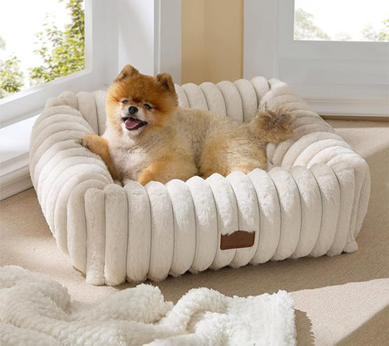 Cozy Pet Bed | Ivory Cream
